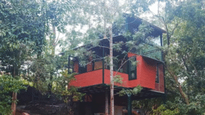 tree house yelagiri