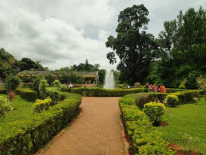 Nature Park