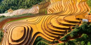 sapa
