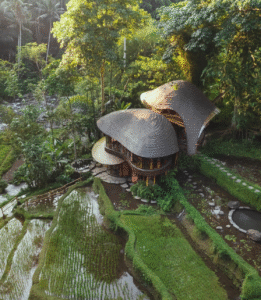 bambu idah