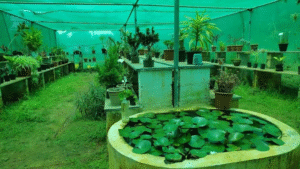 Herbal Farm & Research Centre