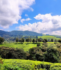 kibira national park