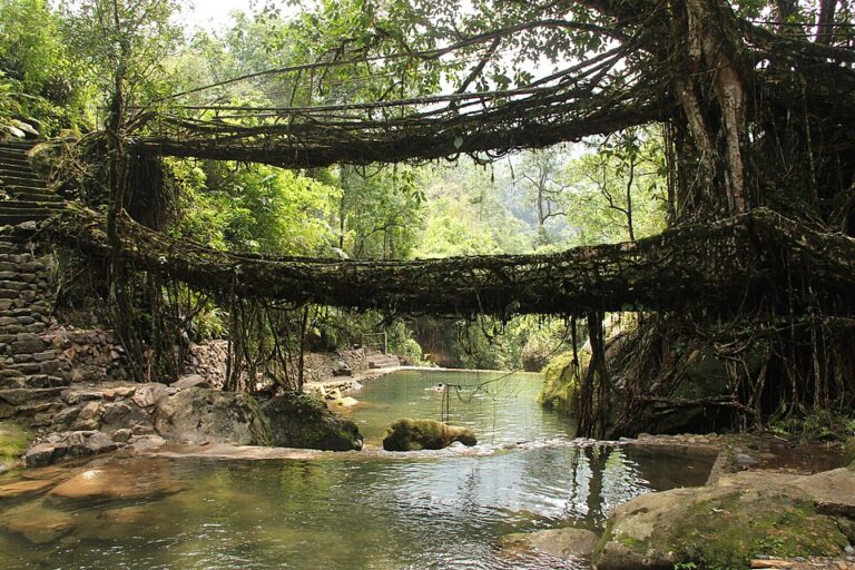root bridges meghalaya