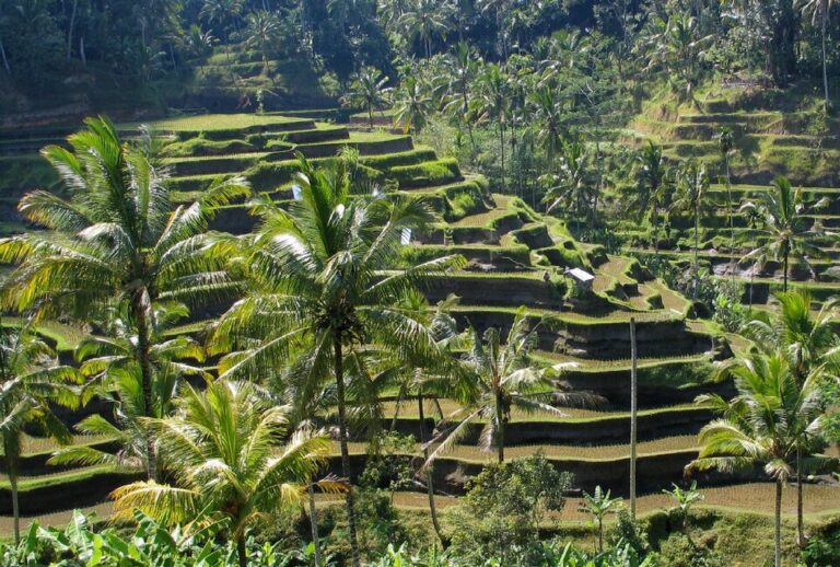 ubud