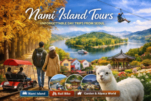 Nami Island tour